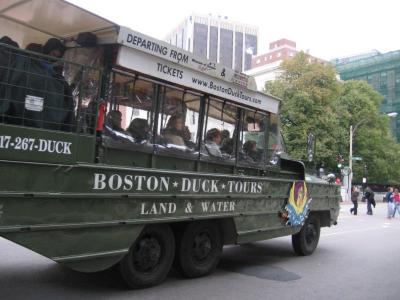 bos30.jpg