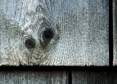 Wood Textures