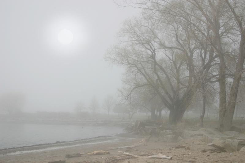 And The Fog Comes Ashore