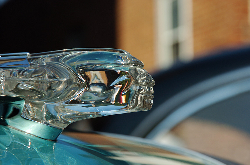 D2H_5977.jpg