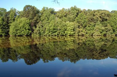 lake1.jpg