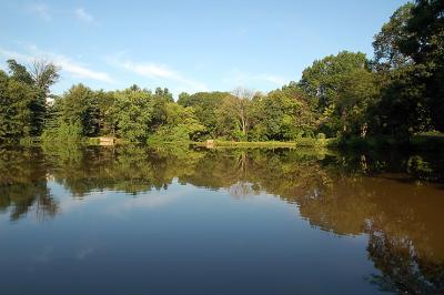 lake2.jpg