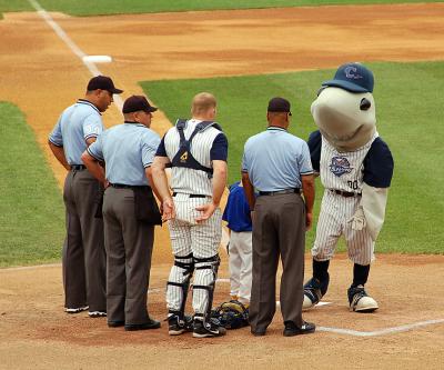 sharks4.jpg
