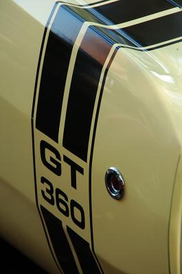 D2H_5927.jpg