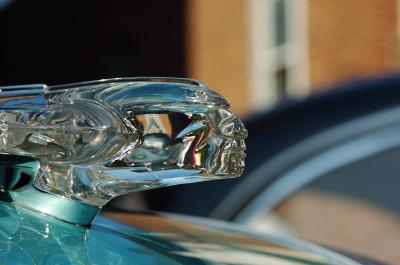 D2H_5977.jpg