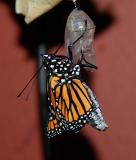 DSC_0715.jpg