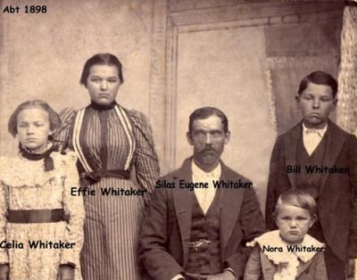 Whitakers 1898