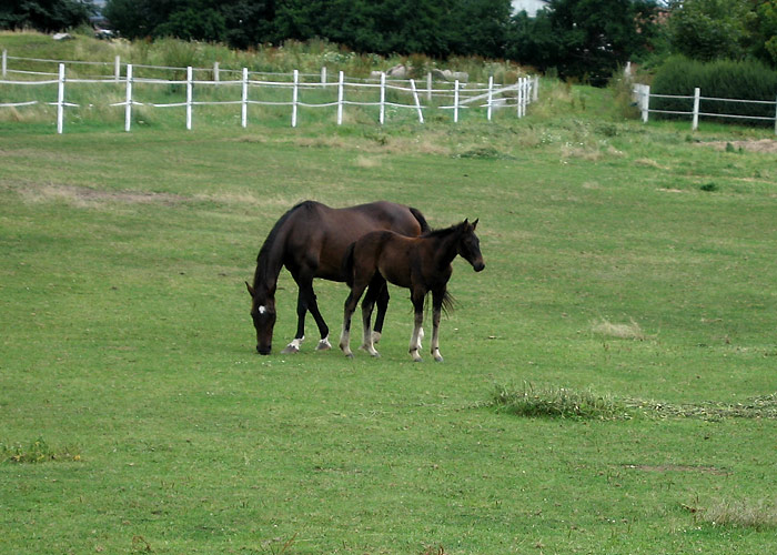 Mother and child
