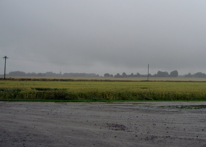 A dreary day