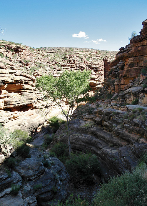 The terrain changes towards the bottom (GI)