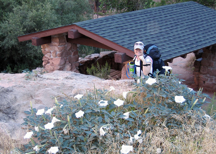 Molly rests at Indian Garden (MJ)