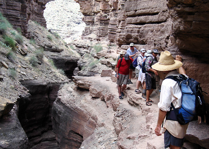 A narrow ledge (GI)