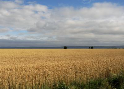 Scenery
