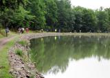 Along the canal