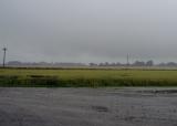 A dreary day