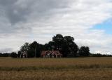 Farm