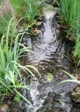 Bubbly brook