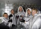 Ice Bar - the gang