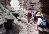 A narrow ledge (GI)