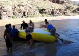 Paddleboat slide (GI)