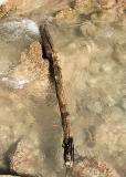 Stick floating in current (MJ)