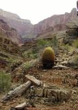Rugged desert terrain (MJ)