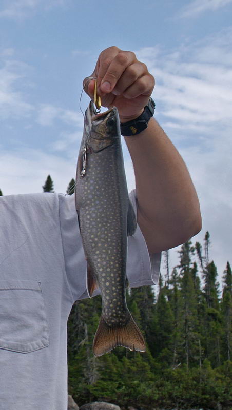 PICT6351.JPG
