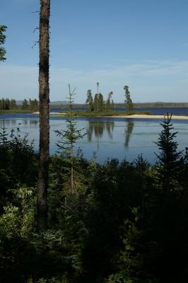 PICT2261.JPG
