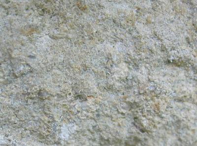 oolithic limestone1_small.JPG