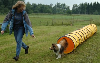 On to the next obstacle