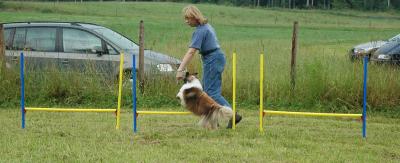 Weaving through jumps - #2