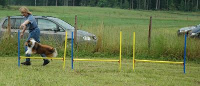 Weaving through jumps - #3