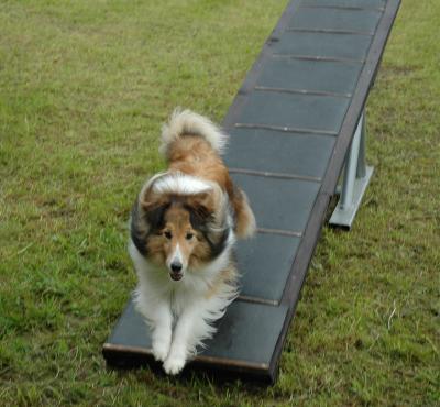 Off the seesaw