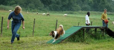 Headed down - are you sure I can't just jump off?