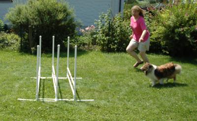 v3/12/538512/3/46791188.DSC_H_0038_edited1.jpg