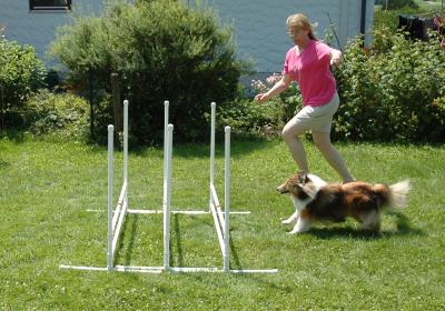 Let's try the flat jump again