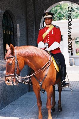 Guard at Kings Palace