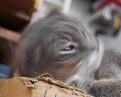 One cute head spin coming up