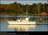 Morning at Nysted Harbour