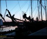 Old Sail Ships