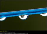 Waterdrop lens