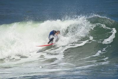 IMG01372.jpg