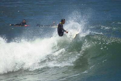 IMG01411.jpg