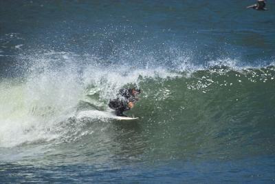 IMG01441.jpg