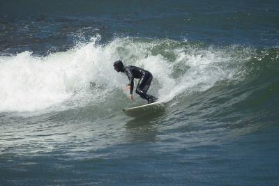 IMG01448.jpg