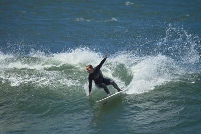IMG01455.jpg