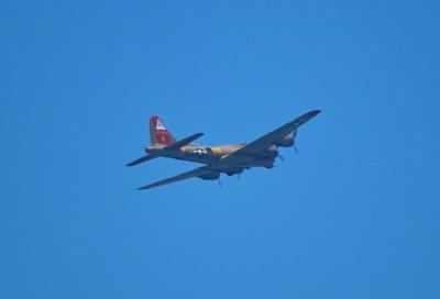 IMG01461.jpg