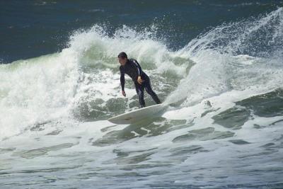 IMG01471.jpg
