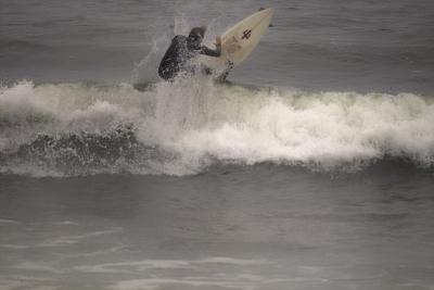 IMG04474.jpg