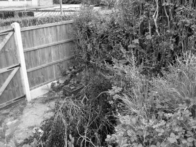 v3/12/58512/3/45611790.LC1018.jpg